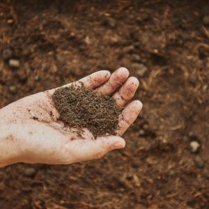 Vabilo na strokovno ekskurzijo na Ptuj