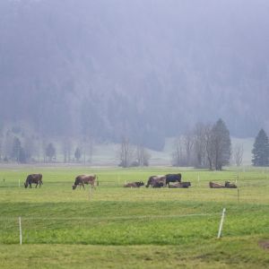 Inovativne skupnosti za ohranjanje biotske raznovrstnosti v Srednji Evropi