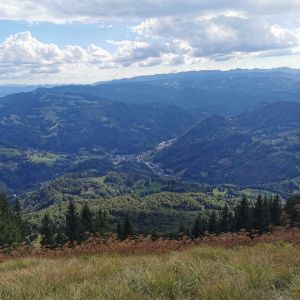 Pozvi resorjem za posredovanje strokovnih podlag