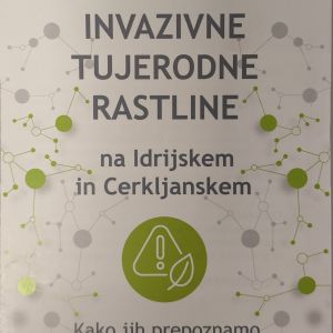 V projektu Central BIC uspešno izveden sklop izobraževalnih aktivnosti o invazivnih tujerodnih rastlinah