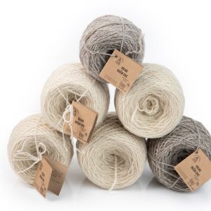 NA 5.EVROPSKEM DNEVU VOLNE sodeluje tudi ROKODELSKA SEKCIJA DRUŠTVA REJCEV DROBNICE IDRIJA – CERKNO 