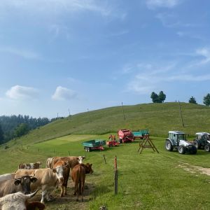Ogled dobre prakse na kmetiji Na Škratovc in v mesoteki Pr' Far v Slodnji Idriji v okviru projekta Prehod na sonaravno oskrbo s hrano