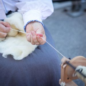 TRETJE VSESLOVENSKO SREČANJE PREDIC