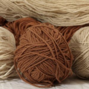 Trajnostna uporaba lokalne volne