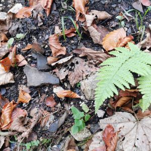 Predstavitev novega turističnega produkta 