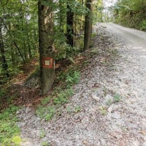 Vabilo na kolesarski izlet IDRIJA – IDRIJSKI LOG – LAJŠT – KREKOVŠE - IDRIJA