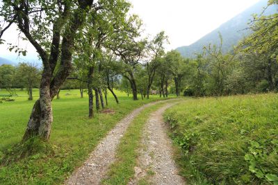 LUIGI baf7a00e4e0f34aa166be49350de93c84c7732311589972104.JPG