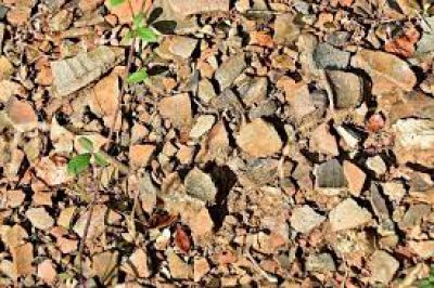 Odkrijmo žgalnice c572237eb716157449b1ddee55511f820ecd72bb1590739008.jpg