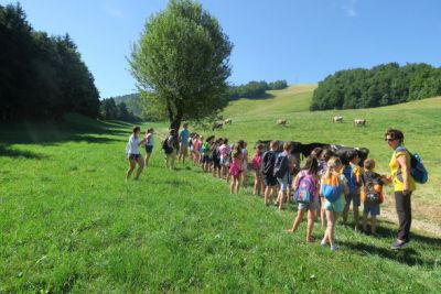 Odprta vrata kmetij c60b2de1687199da403aced59d4e42862cc28d831590739199.JPG