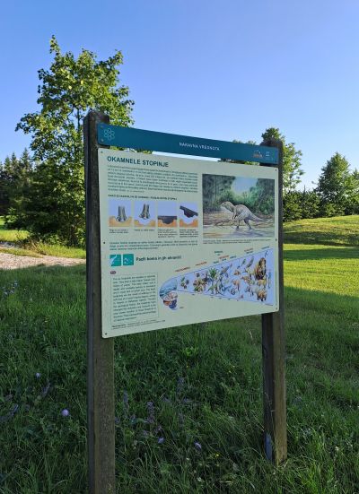 Vodena turnokolesarska tura PO DINOZAVROVIH STOPINJAH - dinozavrove-stopinje-jpg.jpg