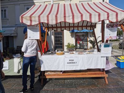 Predstavitev udeležencev - PONI GORIŠKA  - img-20250524-085347-jpg.jpg