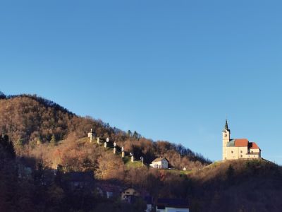 Uspešno zaključena mednarodna šola: Pier Paolo Pasolini med naravo in kulturo - img-20251104-155249-jpg.jpg