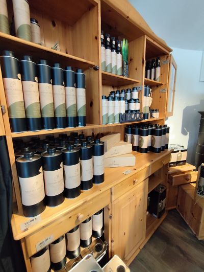 Mednarodno srečanje projekta Central-BIC na Kamenjaku - img-20260129-132539-jpg.jpg