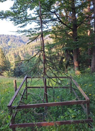 Vodena turnokolesarska tura PO DINOZAVROVIH STOPINJAH - kacja-smreka-1-jpg.jpg