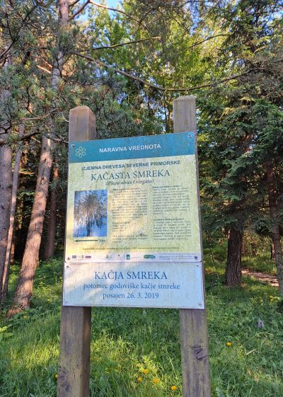 Vodena turnokolesarska tura PO DINOZAVROVIH STOPINJAH - kacja-smreka-jpg.jpg