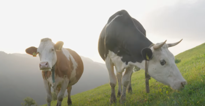 Trajnostno prehranjevanje in sonaravno kmetovanje na območju LAS s CILjem - Prehod na sonaravno oskrbo s hrano  - posnetek-zaslona-2024-12-06-141139-png.png