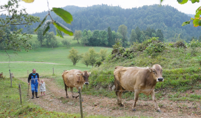 Trajnostno prehranjevanje in sonaravno kmetovanje na območju LAS s CILjem - Prehod na sonaravno oskrbo s hrano  - slika-11-png.png