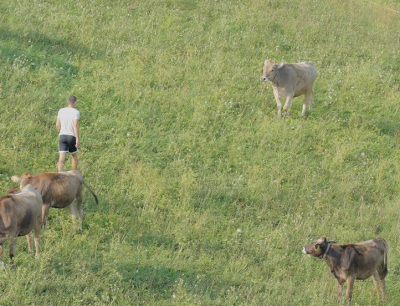 Trajnostno prehranjevanje in sonaravno kmetovanje na območju LAS s CILjem - Prehod na sonaravno oskrbo s hrano  - slika-6-png.png