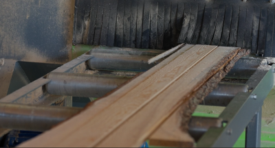 Trajnostno prehranjevanje in sonaravno kmetovanje na območju LAS s CILjem - Prehod na sonaravno oskrbo s hrano  - slika-9-png.png