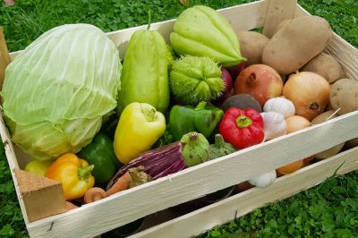 Lokalni ponudniki na Idrijskem, Cerkljanskem in Logaškem - zelenjava-jpg.jpg