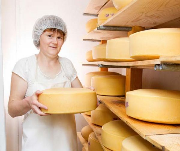 Promocijska videa sadne in senene verige