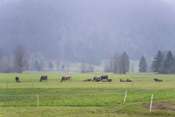 Inovativne skupnosti za ohranjanje biotske raznovrstnosti v Srednji Evropi