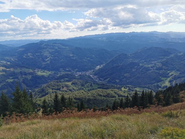 Pozvi resorjem za posredovanje strokovnih podlag