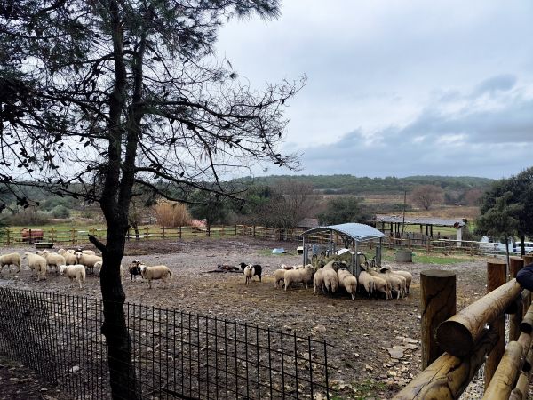 Mednarodno srečanje projekta Central-BIC na Kamenjaku