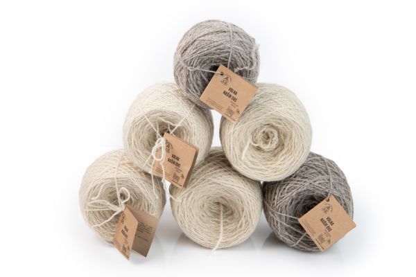 NA 5.EVROPSKEM DNEVU VOLNE sodeluje tudi ROKODELSKA SEKCIJA DRUŠTVA REJCEV DROBNICE IDRIJA – CERKNO 