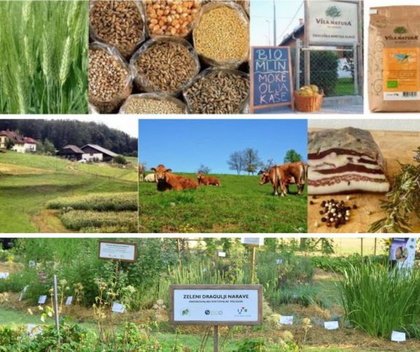 Projekt »Prehod na sonaravno oskrbo s hrano« podpira in spodbuja dobre prakse s področja ekološkega kmetovanja