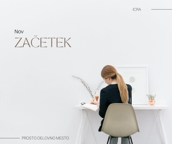 RAZPIS PROSTEGA DELOVNEGA MESTA