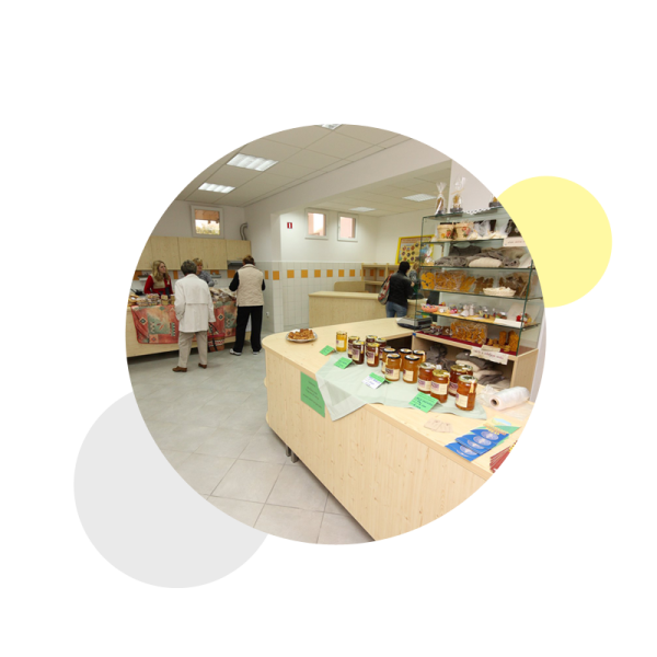 Kako trg zaznava vrednost narave? – Anketa v okviru projekta Central-BIC